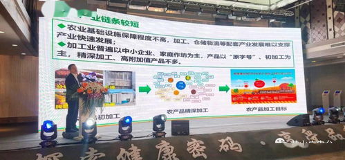 2020中国黑色食品产业发展黟县峰会开幕 北京软件开发